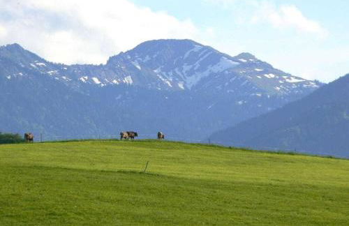 Hiemer 2 Comfortable holiday residence - Foto 35