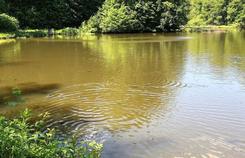 Ferienwohnung Will - Photo 37