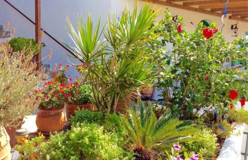 Manos Studios - Foto 41