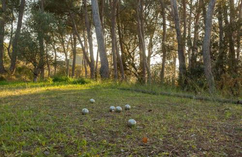 Le gîte sous les pins - Photo 17