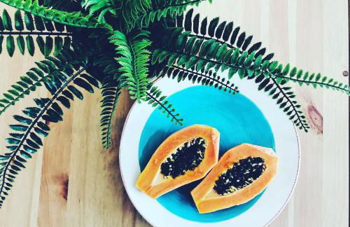 Casa Do Ti Gil - Foto 65