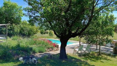 Le Sens des Merveilles - Foto 4, Garden