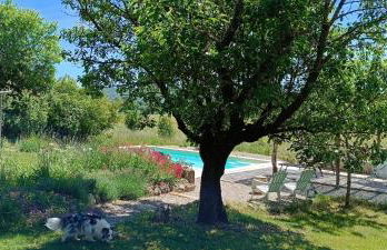 Le Sens des Merveilles - Foto 4