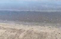 Life's better Salty -Welcome to Serenity - Foto 3