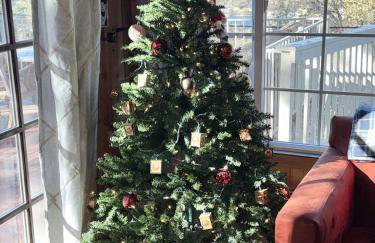 Emerald Arrowhead Haus - For 6 - Foto 25