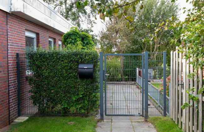 Kegelrobbe - Foto 42