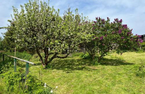 Am Schusterberg - Foto 18