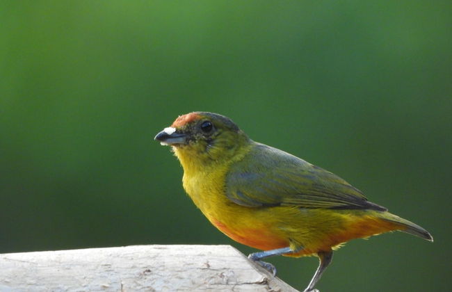 Esquipulas Rainforest - Foto 43