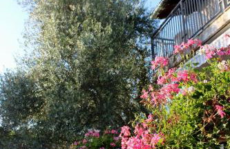 Turković Apartments - Foto 1