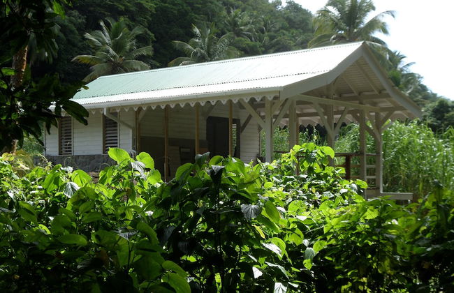 Citrus Creek Plantation - Photo 12