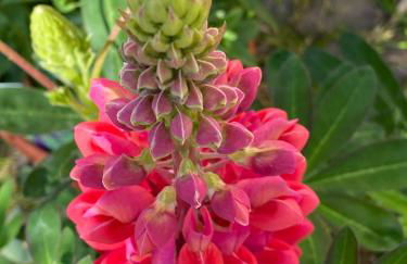 Ferienwohnung Burg Hausen - Foto 43