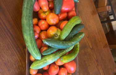 Villa GREG stupenda casa sulla spiaggia con accesso diretto al mare - Foto 36