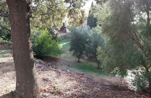 Casa Vacanze di Pieranna - Foto 63