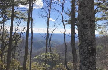 Ridgecrest A Unique Rustic Cabin in Blowing Rock NC - Foto 9