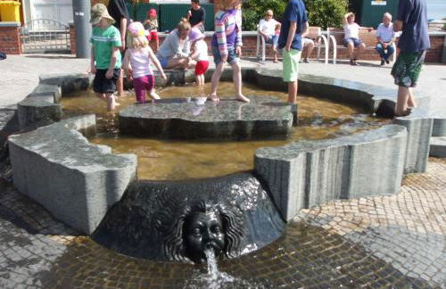 Midlum Zaunkönig - Foto 26