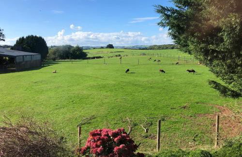 Cosy cottage with stunning views - Foto 22