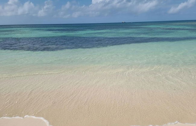 Charming 1-bed Cottage in Codrington - Foto 13