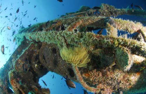 Apartments Sucic 2 - Foto 30