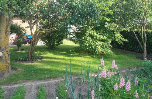 Studio in Usedom - Insel Usedom 2319 - Foto 8