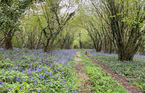 Monarchs View Farmstay - Foto 15