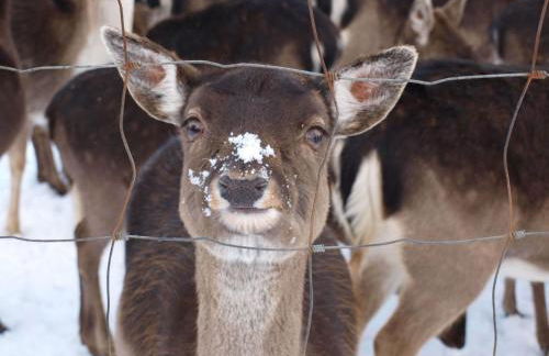 Apartment Fewo Hoppenhof 1 by Interhome - Foto 26