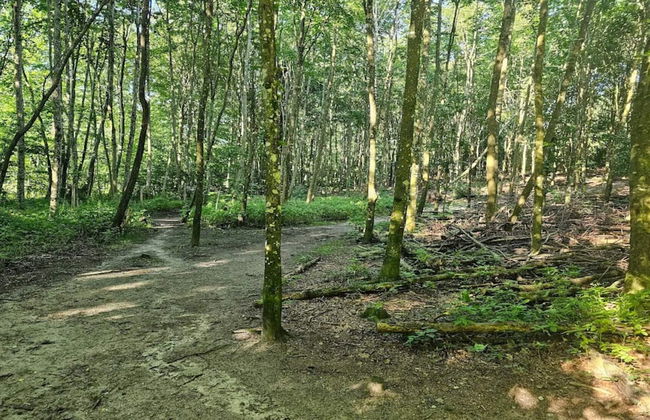 Tranquil Lakeside Retreat in Ry-by Traum - Foto 4