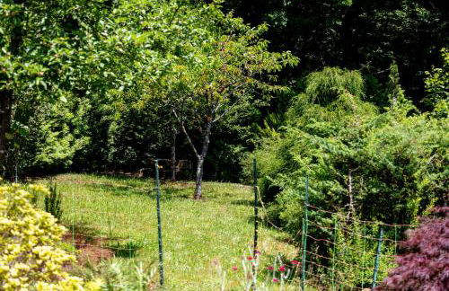 Roter Fuchsbau am Eichwald - Foto 21