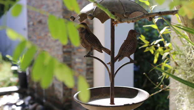 Residence Argine - Foto 5