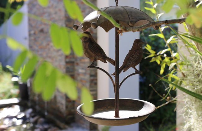 Residence Argine - Foto 5