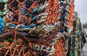 Carvetii - Borthwick House - Ground floor flat - Foto 19