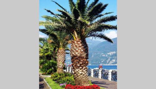 Piscina e vistalago CroceMenaggio CIR 013145-00318 - Foto 3