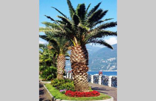 Piscina e vistalago CroceMenaggio CIR 013145-00318 - Foto 3