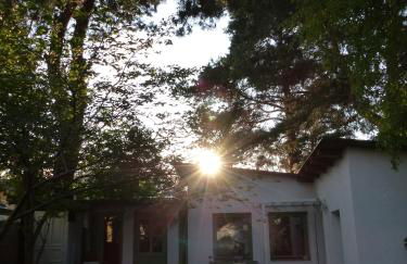 Feine Laube - Foto 27