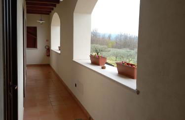 Agriturismo L'Ulivo - Foto 73