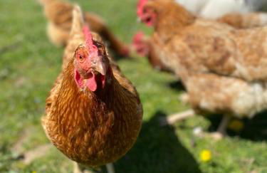 Kerns Ferienwohnung - Foto 12