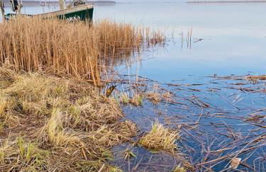 Ferienhaus am Seegrund - Foto 53