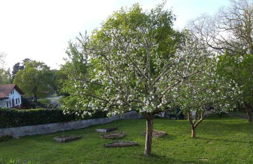 Appartement en rez de chaussee de maison - Foto 14