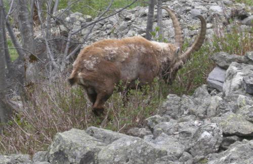 Gîte Les Grands Champs - Foto 62