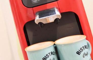 Appartement de 45 m2 en rez-de-villa avec jardin - Foto 13