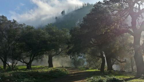 Harrison Serenity Ranch - Groups over 50 - Foto 2