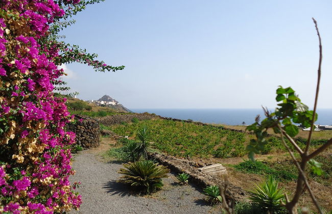 Agriturismo Zibibbodoro - Foto 42