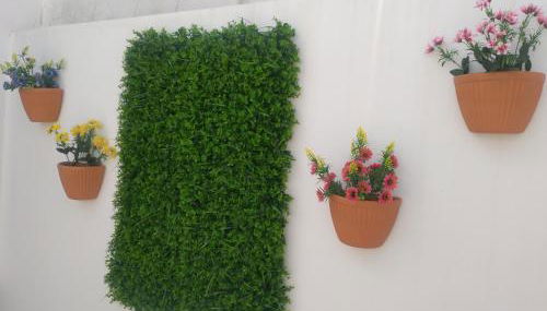 Casa dos avós - Foto 4