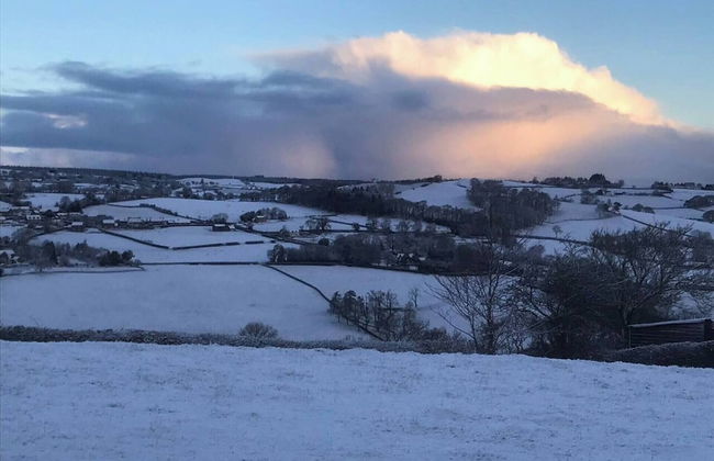 The Shepherds Hut at Hafoty Boeth - Foto 14