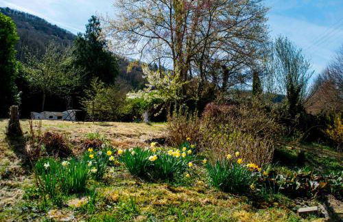 Boutique Apartments in Villa direkt an der Mosel - Foto 42