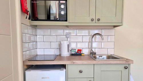 Duke of the Pond - Room 1 - New Forest - Foto 2, stove