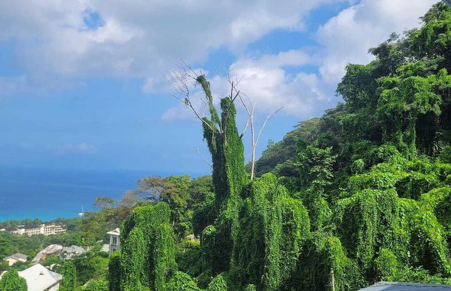 Wild Vanilla Apartment - Photo 59