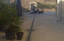 La Métairie Du Clos Saint Louis, 4 chambres pour 8 personnes - Photo 20