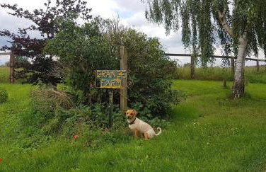 The Acorn - Roudham Norwich - Foto 29