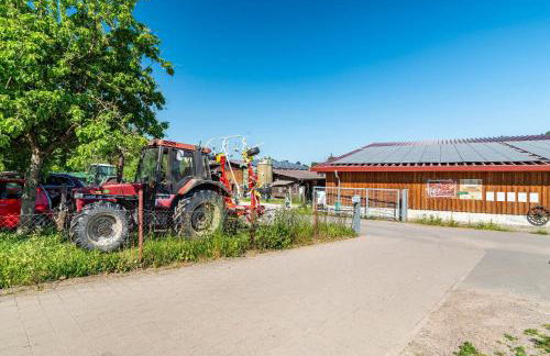 Schwalbenhof Dreßler und Duss für 2 Personen - Foto 11