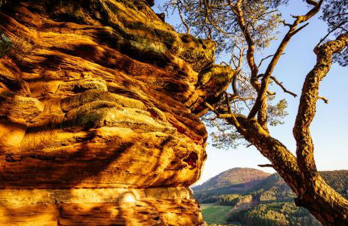 Ferienwohnung Weitblick im Dahner Felsenland - Foto 41